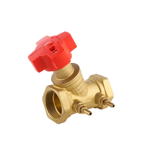 China Manufacturer High Quality Double Regulating/Static Balancing Valve