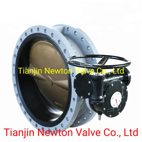 Large Size Soft/Vulcanized/Sulfuretted Hard Back Seat Double Eccentric Offset/Concentric Middle MID Line Wafer Lug Flanged U Section Type Flange Butterfly Valve