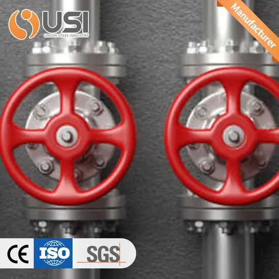 API Forged Carbon Steel/Stainless Steel Flanged Ends Top Entry Ball Valve for Gas Oil Pipe