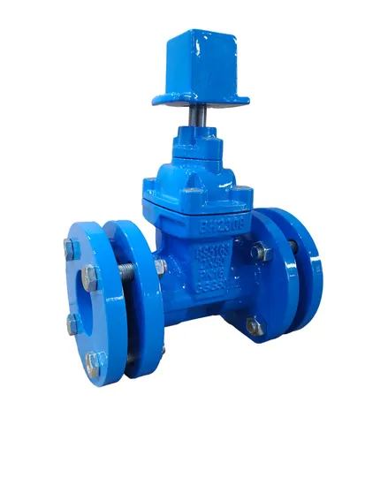Ductile Iron Cast Iron Mechanical Joint Ends Resilient Wedge Non Rising Stem Gate Valve