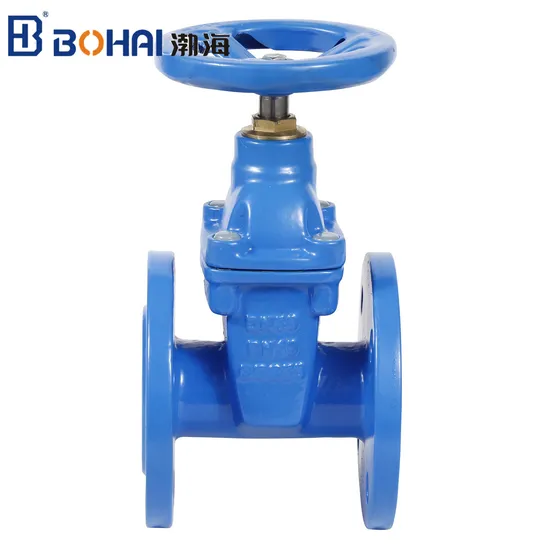 Brass Seal High Quality Gate Valve Pn16