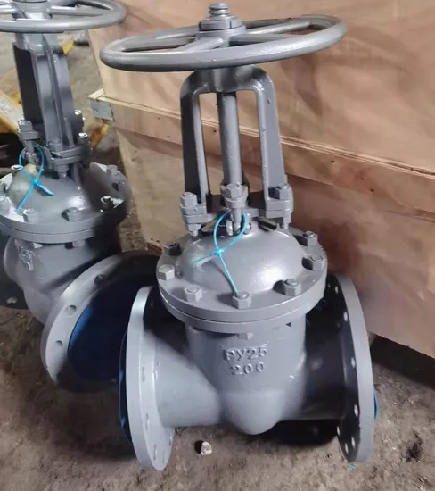 Cast Steel Gate Valve Pn25 Russian Standard