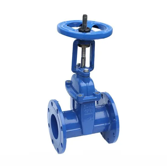 API 6D/DIN/ANSI EPDM Seat F4 Body Flanged Type SS316 Wedge Check Valve/Butterfly Valve/Ball Valve/Globe Valve/Gate Valve