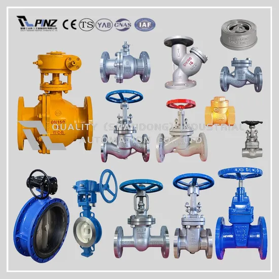 API600 Cast Steel/Stainless Steel Brass Wcb 2′′4′′6′′8′′10′′ DN50 Industry Flange Shut off Valve Butterfly/Check/Globe/Ball Valve/Safety Control/Gate Valve