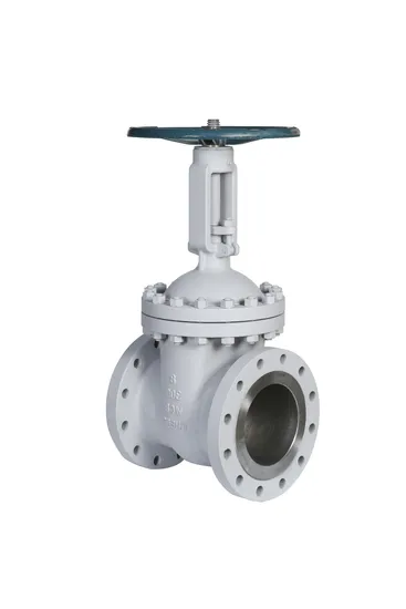 8" 300lb Gate Valve