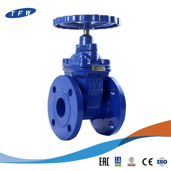 Pn16 DN50 DN600 Flange Cast Iron Wedge Gate Valves
