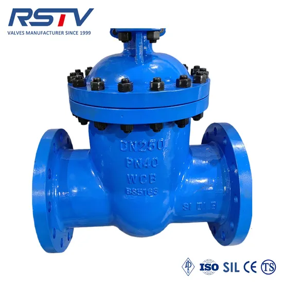 DIN/GOST/En1092 Pn40 DN250 Wcb Cast Steel Gate Valve with Gear Operation
