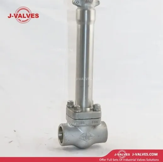 J-Valves High Pressure Forged/Stainless Steel F304/F316 Cryogenic 800lb Sw/Bw Gate Valves