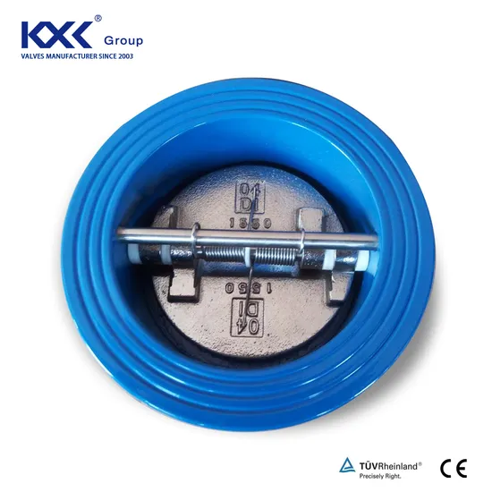 Double Plate EPDM Seat Double Disc Gate Valve/Control/Ball Valve/ Spring Swing Check Valve/Non Return Butterfly Type Check Valve