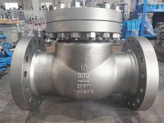 API6d Standard Check Valves for Oil Pipeline Valves