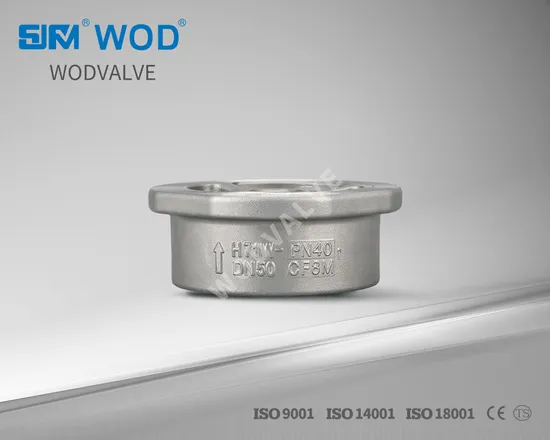 Pn40 Stainless Steel Non-Return Valve, Disco/Wafer/Spring/Swing/Single Type Check Valves