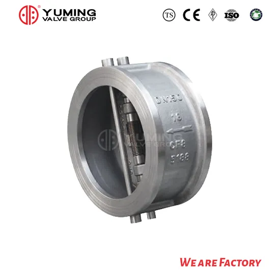 Standard Stainless Steel Wafer Check Valve