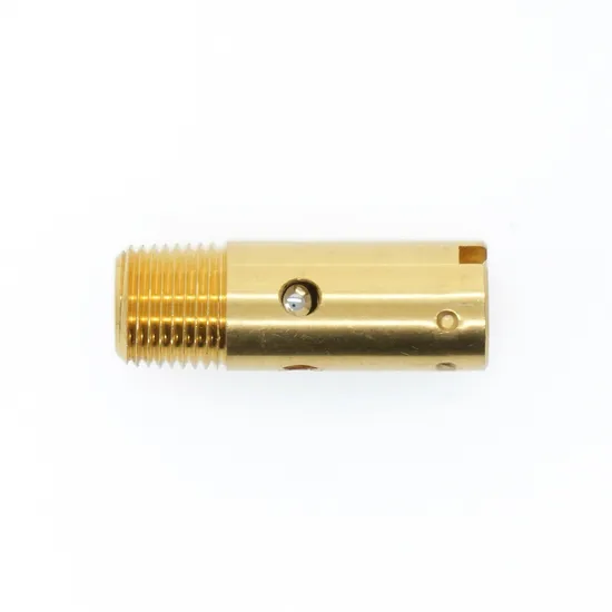 Dh-06 Cryogenic Stainless Steel Check Valve Coppcr Body Gas Control for LNG