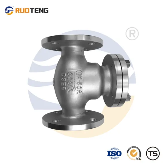 [Ruoteng] JIS 10K Stainless Steel Flangedswing Check Valve