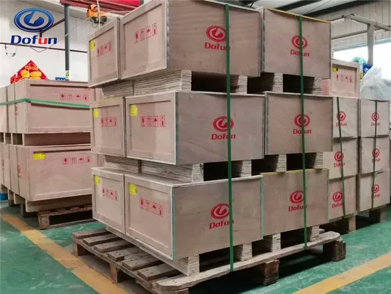 Double-Clip Type Check Valve