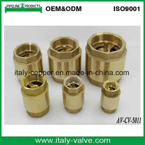 Quality Forging Brass Spring Check Valve with Brass Stick (AV-CV-5011)