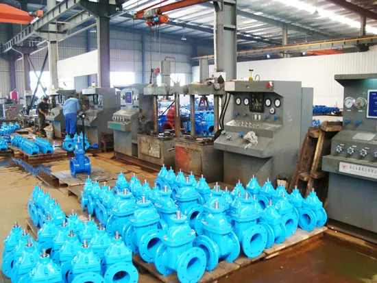BS5153 Cast Iron/Ductile Iron Double Flange Swing Check Valve