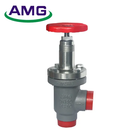 Dia 15-80mm Welding Right Angle Freon Ammonia Globe Check Valve