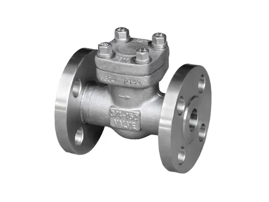 Durable Manufactory Price Stainless Steel Check Stop Valve Food Grade for Hospital
