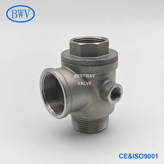 DN32 1-1/4" Stainless Steel 5-Way Spring Loaded Check Valves