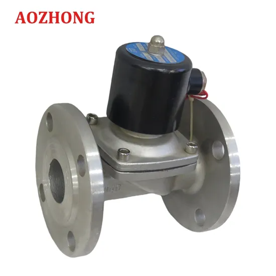 Stainless Steel Flange Solenoid Valve AC110V AC220V DC12V DC24V