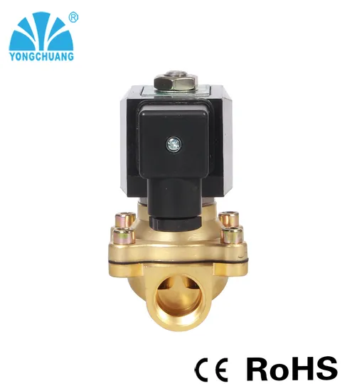 Yongchuang 2W21 Series Brass 2 Inch 24V DC 220V Water Air Solenoid Valve