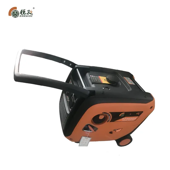 Raise 3.0-5kw Power Electric Start Portable Diesel Generator Set Prices