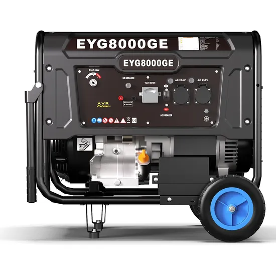Eyg8000ge Erayak Portable Generators 220V 380V 6kw 6.5kw Open Frame Generator House Petrol LPG Natural Gas Power Dual Fuel 3 Phase Gasoline Generators