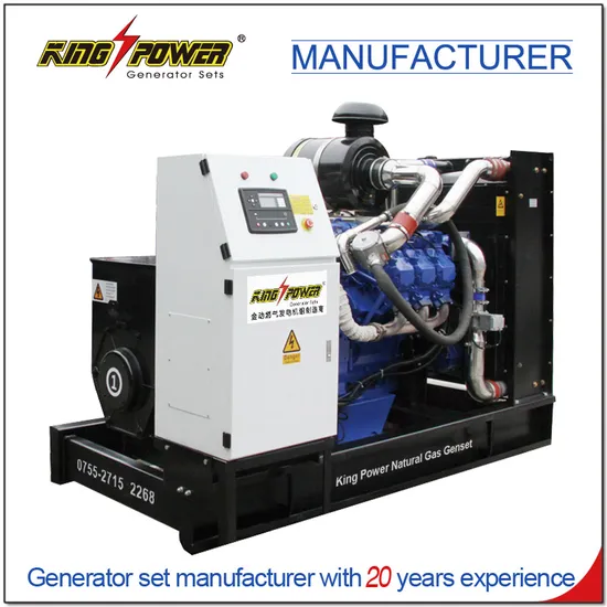 10-1000kw Open Type Silent Type Yuchai Weichai Natural Gas Generator