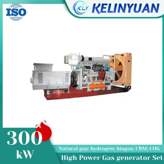 High Efficiency 300kw 400kw 500kw Natural Gas Generator Set 2.