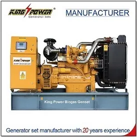 10-1000kw Container Type Open Type Continuous Running Gas Biogas Biomass LPG Generator