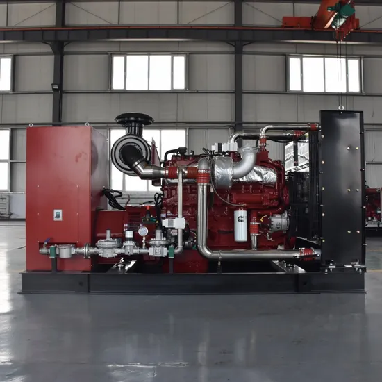 250kw Factory Price 1500rpm Landfill Generator Set Water Cooled 4 Strokes Home Emergency Natural Power Biomass Biogas Gas Generator Suppliers