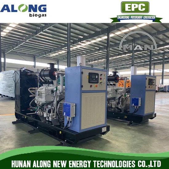 Germany Man Engine Biogas Genset