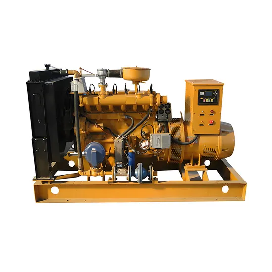 100kw for Biogas Power Generation Unit