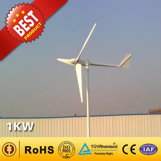 1kw Small Wind Turbine / Wind Power Generator for Home Use (1000W)