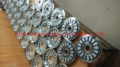 1kw 200rpm Wind Generator (Disc Coreless Maglev Generator 100W-20KW)