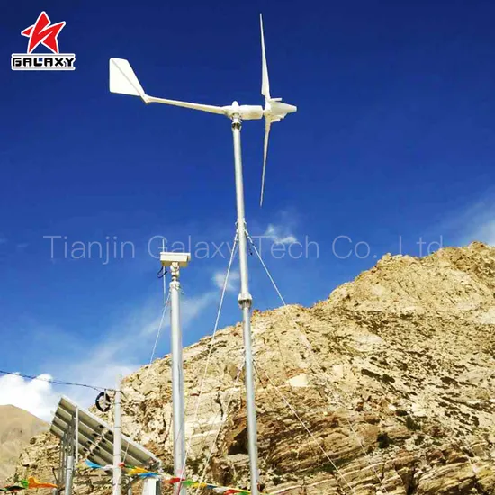 Small Wind Turbine Domestic Wind Turbine 2kw 24V-220V Wind Power with Low Rpm Permanent Magnet Generator