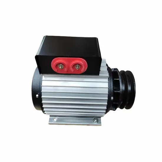 5kw 500rpm 600rpm 1500rpm 1800rpm 50Hz 60Hz 1 Phase 220V Low Speed Permanent Magnet Generator
