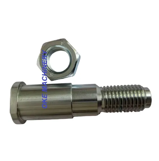 Good Quality Customized High Precision White Galvanized Bolt with Nut