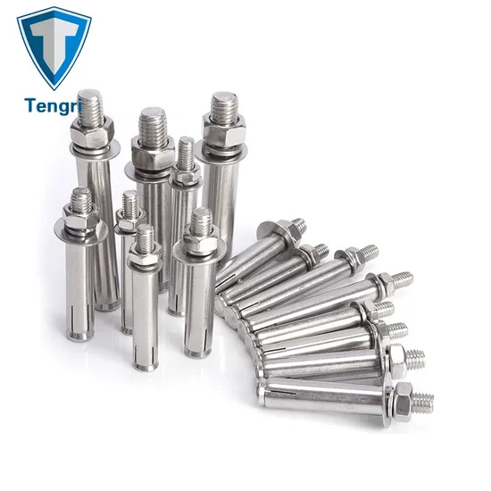 Stainless Steel Expansion Bolt Construction Bolt Hollow Wall Bolt Wedge Anchor Bolt Fixing Bolt Lifting Anchor Anchor Bolt Sleeve Anchor