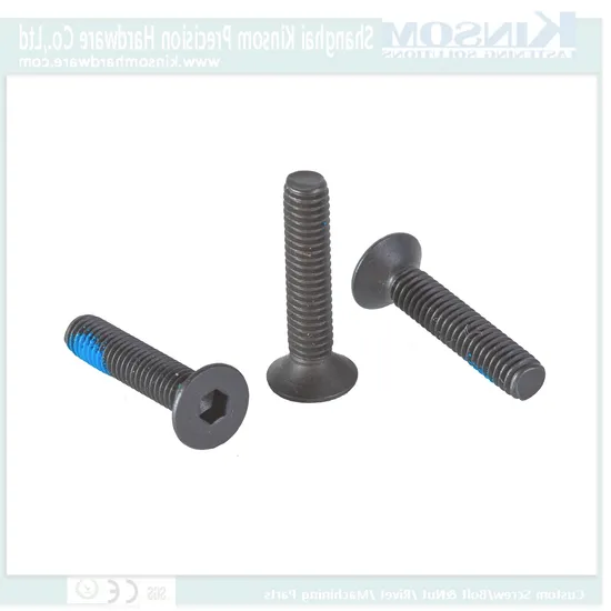 Stainless Steel 304 Black Screw /A2-70 Hex Socket Countersunk Machine Screw /Customized Screw with Nylon Patch Sandblasting and Blackening Fastener