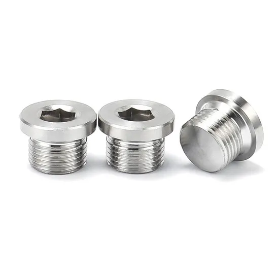 304/316 Stainless Steel Screw DIN908 Hexagon Socket Cylindrical Head Pipe Plug