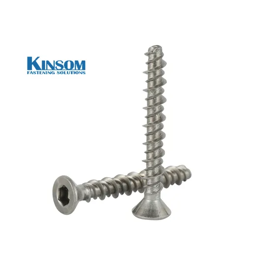 Stainless Steel 304 Screw/Torx Countersunk Hi-Lo Screw/High Low Thread Screw with SS304 Plain Without Plating Passviation