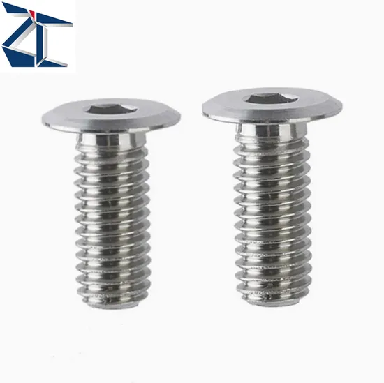 Highly Recommended SUS 304 Cbstsr Thin Head Ultra Low Profile Hex Socket Cap Screw M2-M6