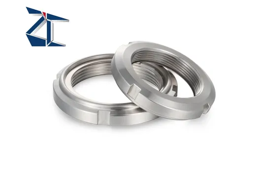 Excellent Quality Self-Lock Nut Prevailing Torqu Funts Stainless Steel Bearing Lock Fine U Nut
