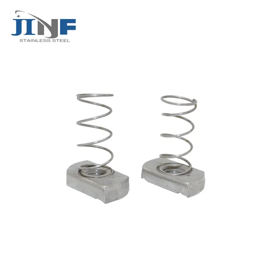 Stainless Steel Spring Nut