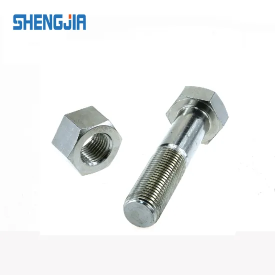 DIN933 DIN931 SS304 SS316 Stainless Steel Hexagon Head Bolt Hex Head Cap Screw