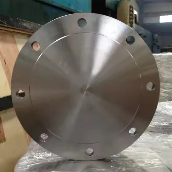 Customized Vacuum Flange Forged Stainless Steel 304/316L Blind Flange Plate