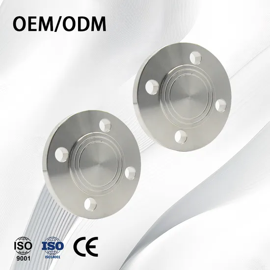 China Stainless Steel Customize Standard/Non-Standard ANSI Large Diameter/Blind Flange with Machining Precision