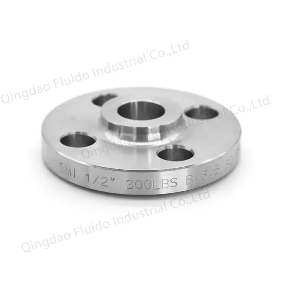 ANSI/DIN/JIS/BS/OEM Forged Stainless Steel Water Pipe Blind Plate Flange for Water Pipeline 2024